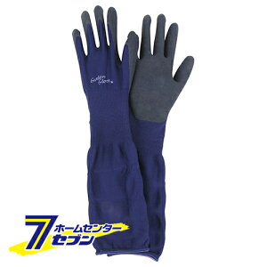 Snɂ NVL-M Y [ |pi یE⏕  K[fEFA K[fjOEFA |EFA ]