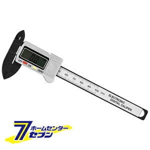 fW^mMX J[{F EDV-100 Y [ v ̂ ]