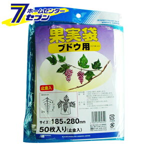 ʎ 50 uhEE VE {}^C [|pi _Ǝ npi]