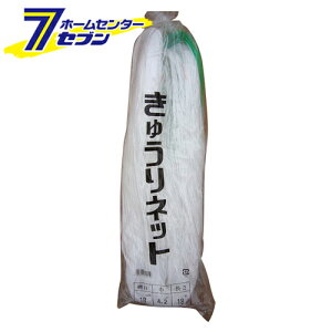 LElbg 18cm 4.2MX18M {}^C [|pi _Ǝ ̃lbg]