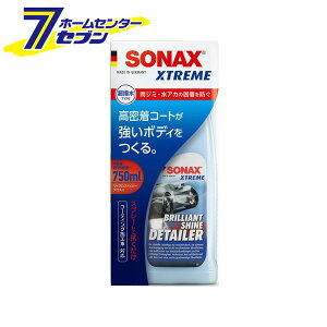SONAX �G�N�X�g���[�� �u�����A���g �V���C�� �f�B�e�C���[ ������ [�� �R�[�e�B���O�� �����ԗp�i]
