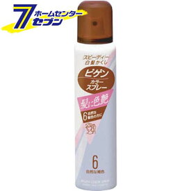 ホーユー ビゲン カラースプレー 6 [自然な褐色] 82g(125ml) ホーユー [ヘアカラー 白髪染め Bigen ヘアカラーリング剤 ヘアカラー スプレー カラースプレー]