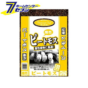 v~A _s[gX 2L {O[T[rX [K[fjO y]