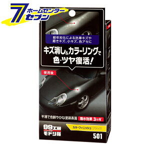 99H[hV J[tBjbV ubN No.9501 [ C dグ  ^b`Abv dグ \tg99]