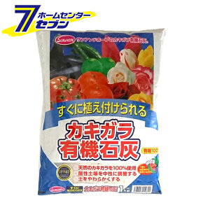 JLKL@ΊD 1kg TAhz[v [ΊD 엿 | |pi]