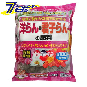 y|Cg5{zmENq̔엿 2kg TAhz[v [엿 | |pi]y|CgUP:2025N111410:00`1116 23:59܂Łz