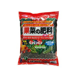 ʍ؂̔엿 2kg TAhz[v [엿 | |pi]