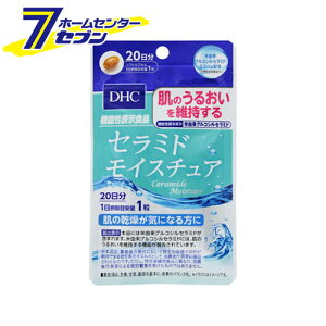 DHC 20 Z~hCX`A fB[GC`V[ [dhc Tvg e 邨]