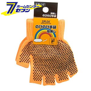 ̂т̂ю iw؂^Cvj IW F Z-65 R[RXM [ƕ ƒ [N]