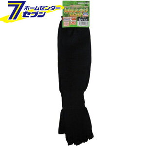 wobN O^Cv ubN L N-3086 R[RXM [A[Jo[ ƕ ƒ [N]