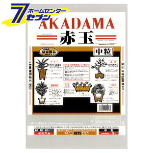 {dԋʓy  5L {O[T[rX [K[fjO y 엿 ]