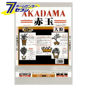 {dԋʓy 嗱 5L {O[T[rX [K[fjO y 엿 ]