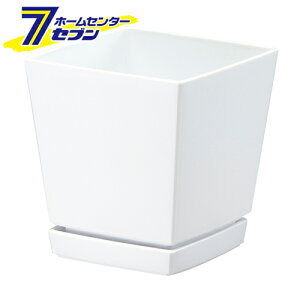 NG`[|bg Mt4 0.6L zCg av [|pi ƒ뉀| v^[]