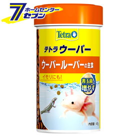 楽天市場 ウーパールーパー 餌の通販