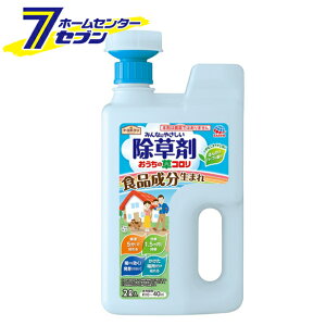 A[XK[f ̑R WEwbh 2L A[X [_knp  G]