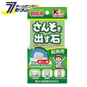 񂻂o p 8 {i [  ANAE]