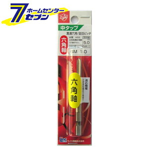 Cg@ Light Zp^bv M6×1.0 [[H SHANZT ^bvE_CX]