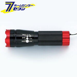 Z[uEC_Xg[ SAVE cCXgY[t3WLEDg[` bhubN SV-4076 [dH ƁExEhƓ]
