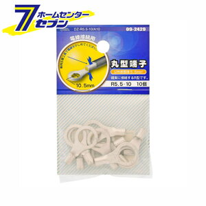 I[d@ ی^[q R5.5-10 10 [i]09-2429 DZ-R5.5-10/A10 [q[YE[q:ی^[q]