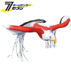  ǂ \V^J K-901 [hpi 悯 ǂ]yhc8z