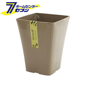 AbvEFA[ OVA|bg145^ JuE [Aؔ ϗtA  S~^Cv]yhc8z