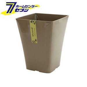 AbvEFA[ OVA|bg170^ JuE [Aؔ ϗtA  S~^Cv]yhc8z