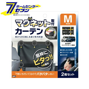 ƉbN Ky}OlbgJ[e ubN M 2 LS-137 [YAC  ԗp]