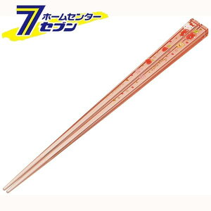 XP[^[  LeB nslXK[ AAC45 [TI q qp͂ ͂ ͂ LN^[ObY { Skater]