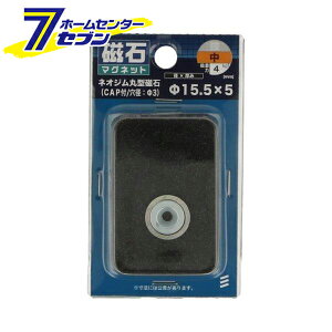 lIW ی^ 15.5mm×5mm CAPt a3mm [ ی^ }Olbg lIWE lIW[ ˂]