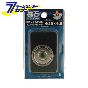 lIW ی^ 29mm×6.6mm CAPt a5mm [ ی^ }Olbg lIWE lIW[ ˂]