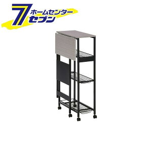 ACXI[} Vth[S X^Cv C[bNt (ubN) TLAW-R220 [h[bN h[oXPbg  ܂肽 X ȃXy[X  Vt