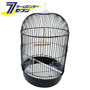 o[h ی` ubN [ pP[W pQ[W  CR  XX]