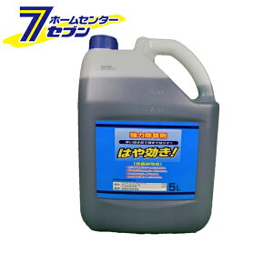  ͂ 5L _knp [͏  ͂炵 G  | VZC]