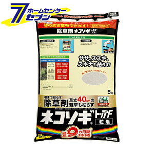 lR\MgbvF  5kg  [ ͂炵 G΍ C{[i]