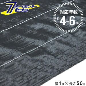 (@l) 悯V[g ubN 4`6N 1m×50m [h  V[g _ h  | } @  nEX In H VZC]