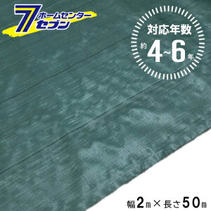 (@l) 悯V[g O[ 4`6N 2m×50m [h  V[g _ h  | } @  nEX In H VZC]