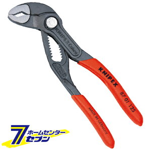 EH[^[|vvC[ Ru 8701-125 [₷ z C H NjybNX KNIPEX]