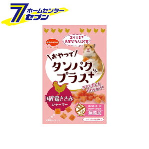 nX^[ Ń^pNvX {݃W[L[ { 15g {ybgt[h [Y \tg sgp]