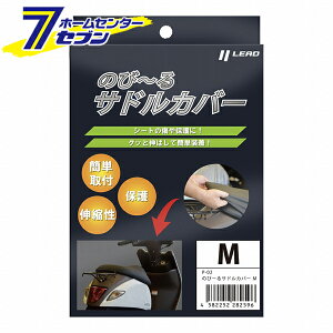 ̂с` ThJo[ M ubN P-02 LEAD [t V[gی ȒPt  oCN]