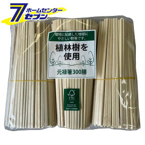 \ Aюgp 300V  [e 蔢   ٓ ĝ]