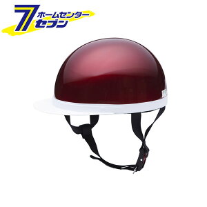 x[VbNX^C n[tLbv LfBbh F BH-01R jJ[H [w  oCNpi]