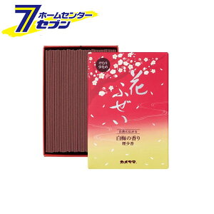  Ԃӂ ~  p 10620388 J} [Ȃ  d Q]