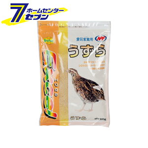 GNZ  { 500g i`ybgt[Y [ Ƌחp ̃GT ybgt[h]