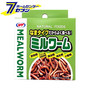 ~[ ^Cv 35g i`ybgt[Y [쒹 ঒ނ̃GT ނ̃GT ʓ ybgt[h]