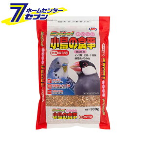 GNZ  ̐H t { 900g i`ybgt[Y [炠 ̉a GT H ybgt[h]