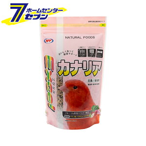 GNZ JiA t { 500g i`ybgt[Y [炠 JiAp a H ʕ ؃ybgt[h]