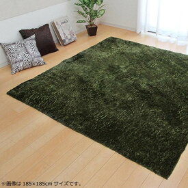 ラグ カーペット 『ラルジュ』 グリーン 約130×185cm(ホットカーペット対応) 3958909【メーカー直送：代金引換不可：同梱不可】【北海道・沖縄・離島は配達不可】