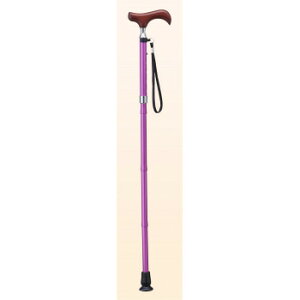 PCEzXsA EV[Y (܏^Cv) E-204By[J[FsFszykCEE͔zBsz