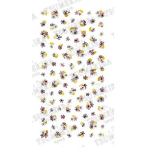 cL lCV[ noble hCt[Ƌ2 NO-DFG-102(WFp)yz@:[/s/s/wszykCEE͔zBsz