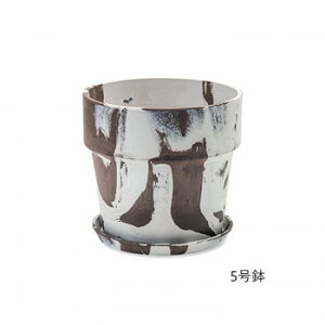 A[ovc|bg ~N/JJI 81105y[J[FsFszykCEE͔zBsz